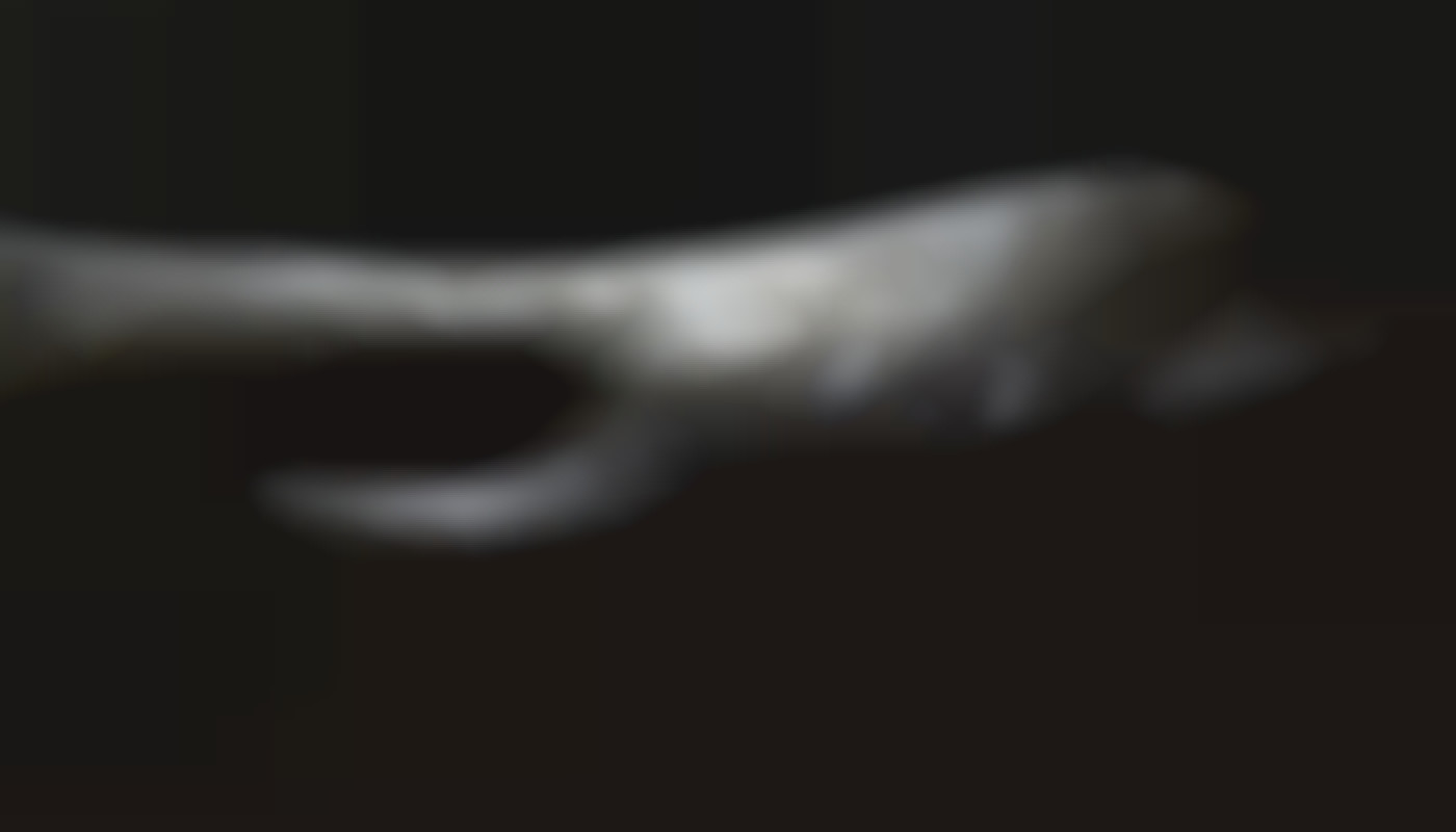 Comment choisir la meilleure camgirl pour une expérience personnalisée ?